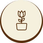 Here's an alt tag for the image: `Potted tulip flower icon`