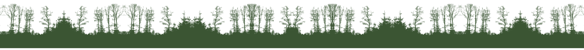 Dark green forest silhouette landscape.